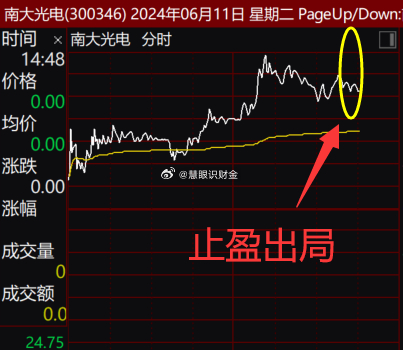 南大光電能否漲到100元，深度分析與展望，南大光電未來(lái)股價(jià)走勢(shì)展望，能否沖破百元大關(guān)的深度分析