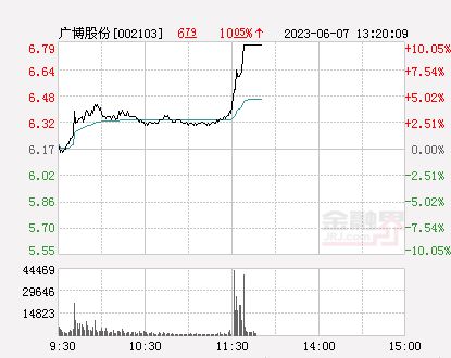 廣博股份能否重回6元，深度分析與展望，廣博股份能否重返6元，深度分析與未來展望