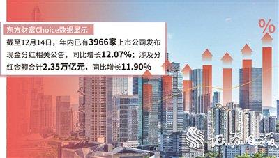 A股上市公司2024年分紅圖譜，A股上市公司2024年分紅全景解析