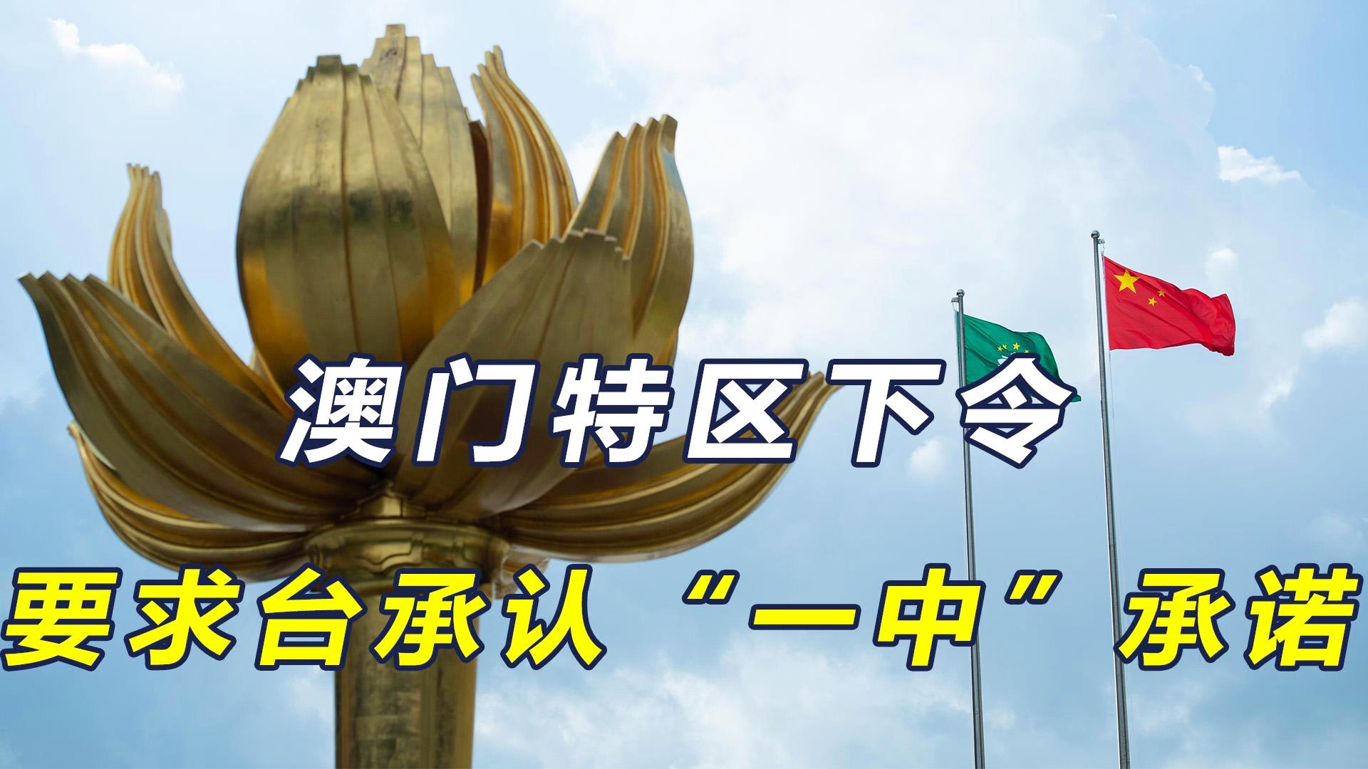 澳門(mén)一碼一肖一恃一中與犯罪問(wèn)題的探討，澳門(mén)一碼一肖與犯罪問(wèn)題的深度探討