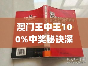 警惕虛假博彩陷阱，新澳門王中王100%期期中背后的風險，警惕虛假博彩陷阱，新澳門王中王背后的風險揭秘