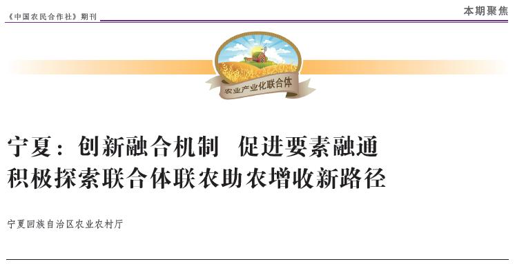 中央企業(yè)提升產(chǎn)業(yè)融通能力的戰(zhàn)略與實(shí)踐，中央企業(yè)產(chǎn)業(yè)融通能力提升戰(zhàn)略與實(shí)踐探索