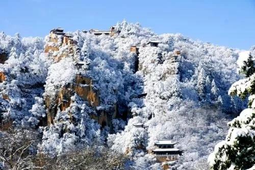 黑芝麻今日最新消息，市場趨勢、健康價值與應(yīng)用前景，黑芝麻最新市場動態(tài)，市場趨勢、健康價值與應(yīng)用前景展望