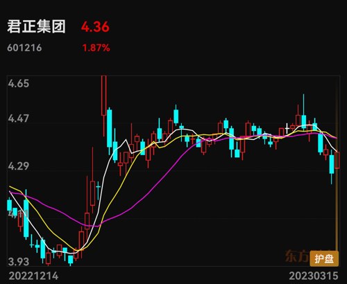 君正集團(tuán)股票能否達(dá)到8塊，分析與展望，君正集團(tuán)股票未來能否達(dá)到8元？分析與展望。