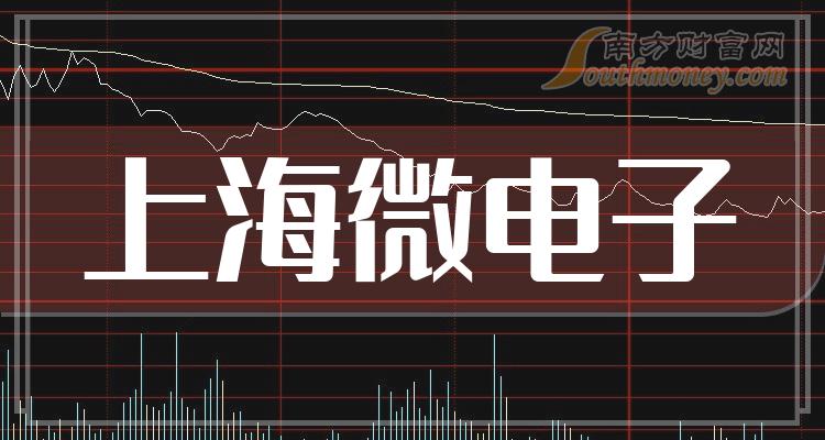 上海微電子前十大股東深度解析，上海微電子前十大股東的深度剖析
