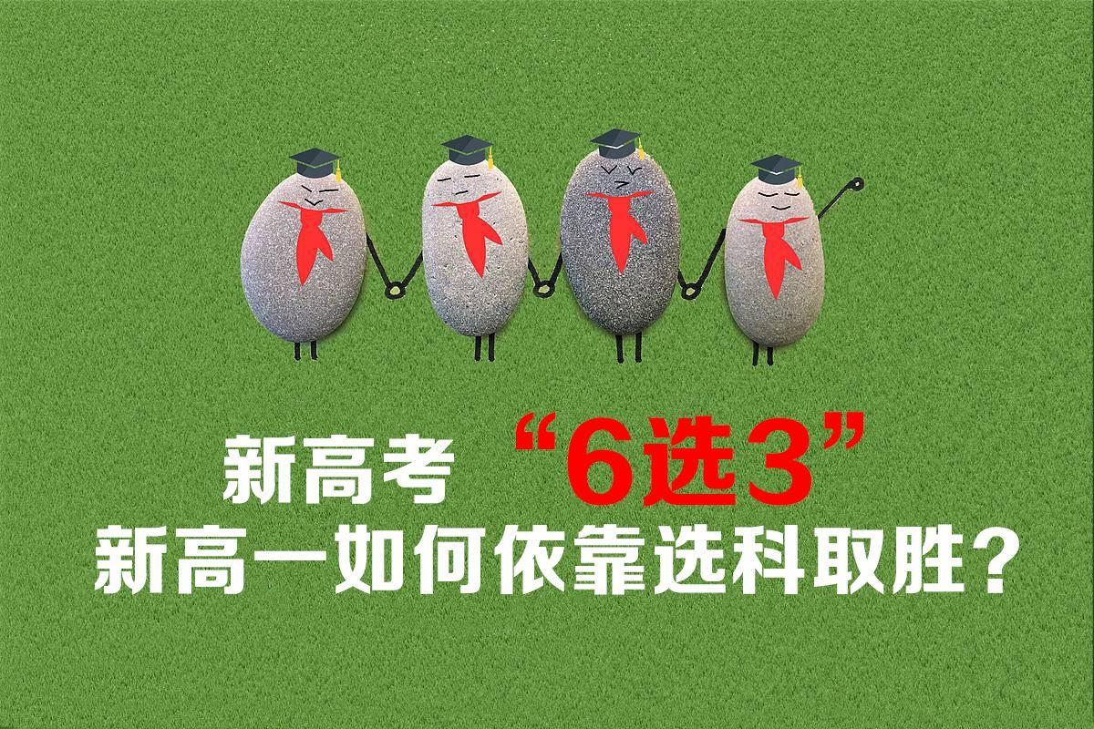 上海微電子是否被踢出中國電氣行業(yè)？解析與探討，上海微電子是否被排除出中國電氣行業(yè)？深度解析與探討