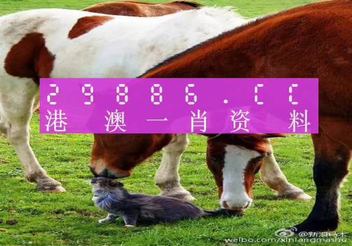 關于奧門一碼中一肖更新日期的探討與警示——警惕違法犯罪問題，關于奧門一碼中一肖更新日期的探討與警示，警惕違法犯罪風險