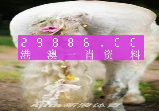 澳門內(nèi)部資料精準大全2023——警惕違法犯罪風險，澳門內(nèi)部資料精準大全背后的風險，警惕違法犯罪威脅 2023年警惕篇