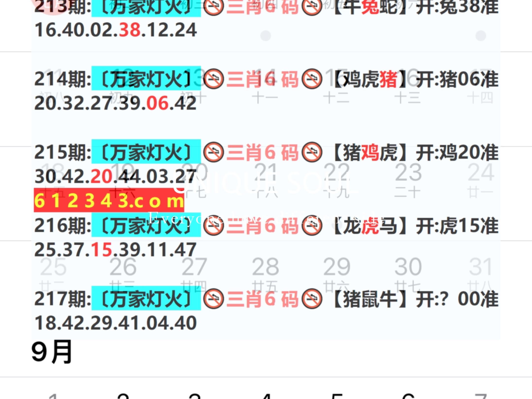 新澳門期期免費資料的重要性及其影響，澳門免費資料的重要性及其影響力分析