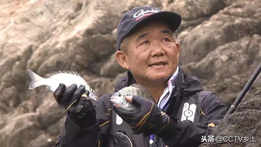 釣魚圈的奇事趣聞，探索垂釣世界的獨特魅力，垂釣奇趣世界，探索垂釣圈中的獨特魅力與奇事趣聞