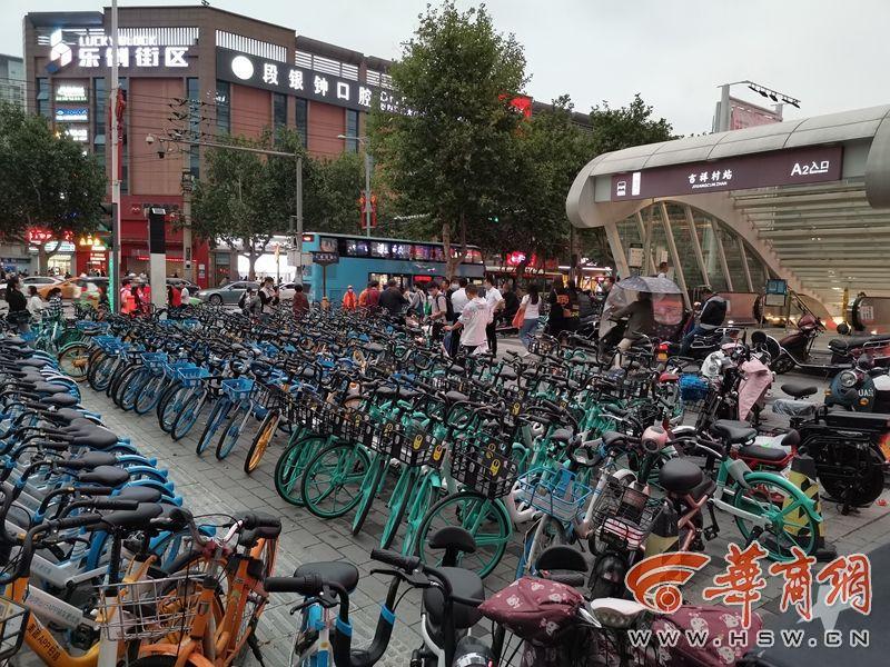 電動自行車圍困大學校園新現(xiàn)象及其影響，電動自行車現(xiàn)象，大學校園的新挑戰(zhàn)與影響