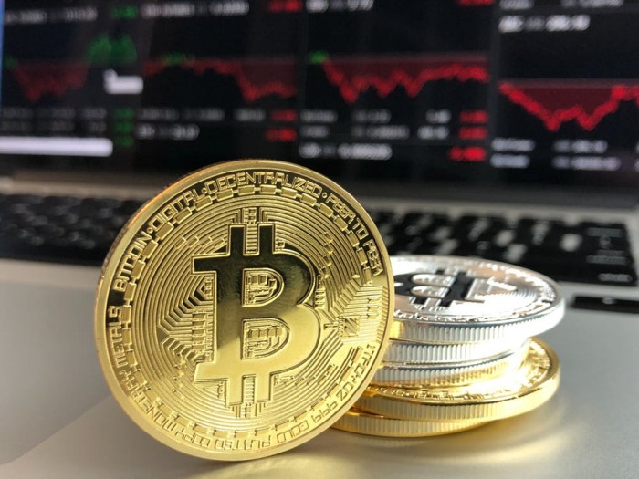 神秘黑貓 第15頁