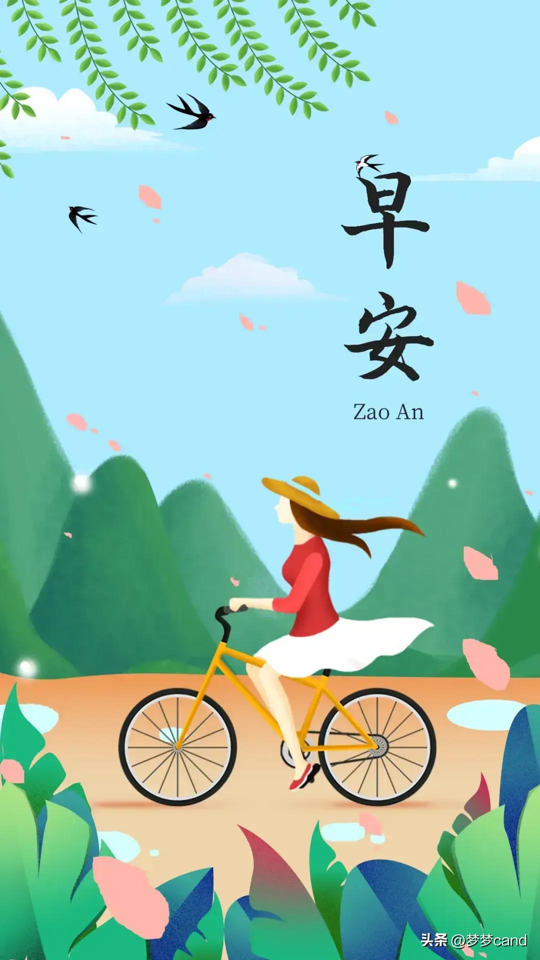關(guān)于2024天天彩資料大全免費的全面解析，2024天天彩資料大全免費全面解析手冊