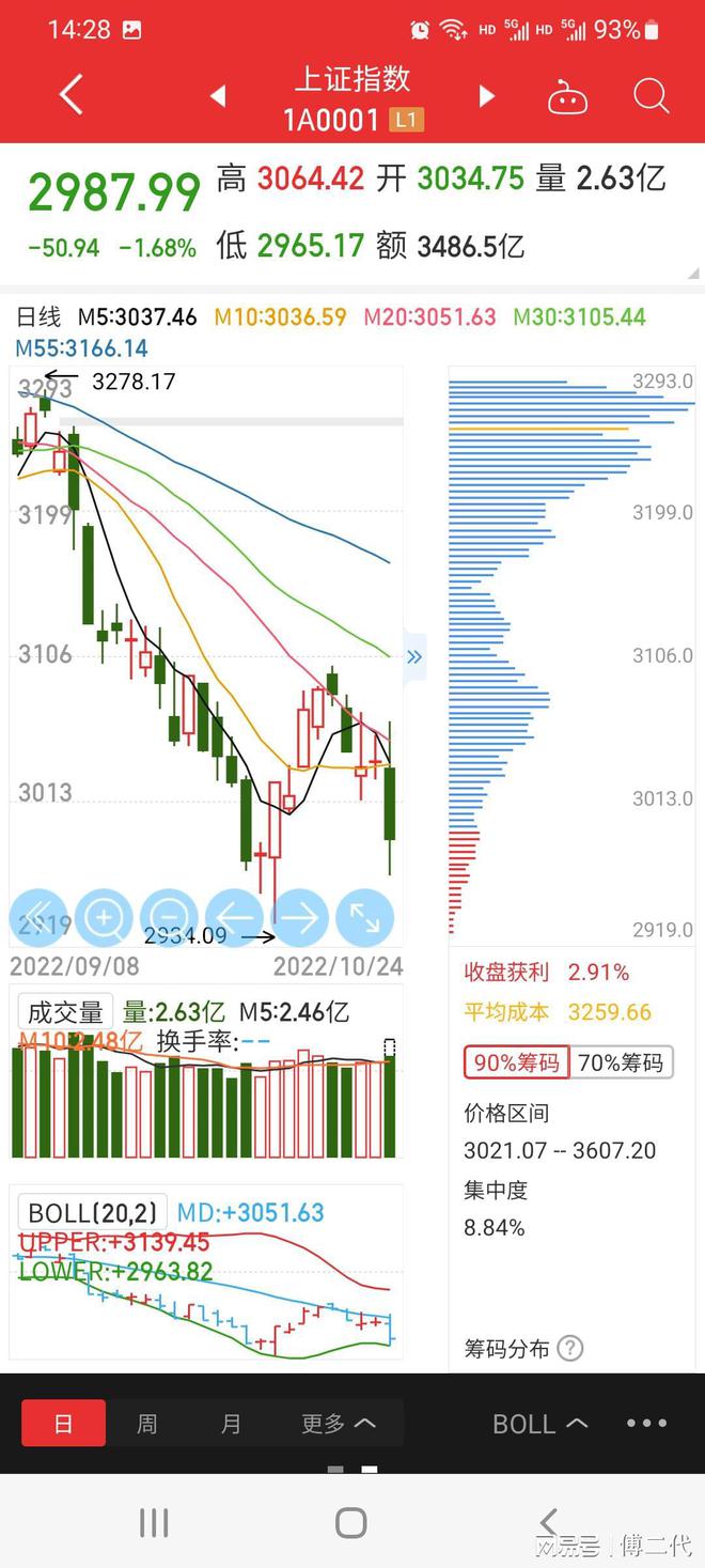上證指數(shù)暴跌百點(diǎn)新，市場波動(dòng)背后的深層原因與應(yīng)對(duì)策略，上證指數(shù)暴跌百點(diǎn)背后的深層原因及應(yīng)對(duì)策略