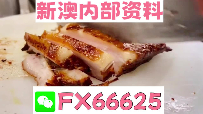 新奧長期免費資料大全，探索與啟示，新奧長期免費資料大全，深度探索與啟示