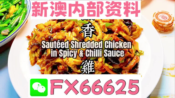 新奧天天精準(zhǔn)資料大全，深度解析與實(shí)際應(yīng)用，新奧天天精準(zhǔn)資料大全，深度解析及實(shí)際應(yīng)用指南