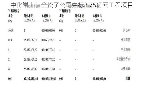 中化二級子公司全部名單及其業(yè)務(wù)概覽，中化二級子公司全名單及業(yè)務(wù)概覽解析