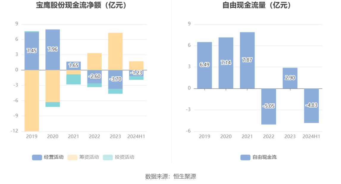 寶鷹股份上漲新篇章，探索、突破與未來的繁榮，寶鷹股份開啟上漲新篇章，探索突破，共筑未來繁榮之路