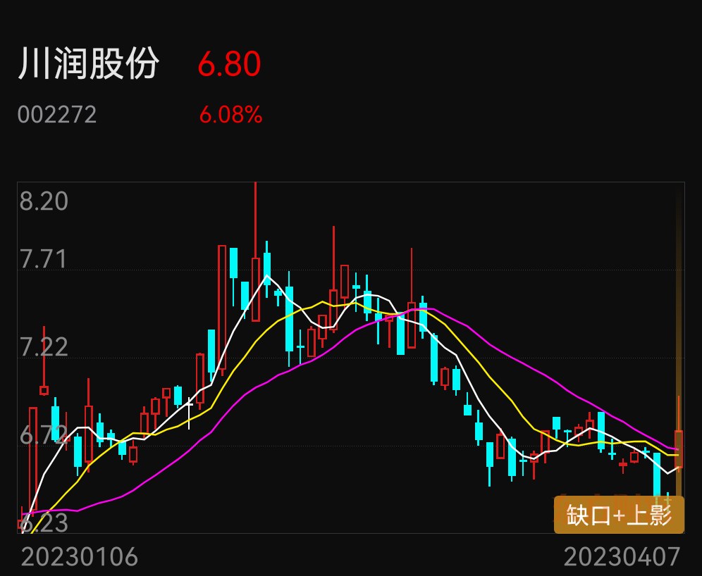 川潤股份的發(fā)展?jié)摿?，未來展望與戰(zhàn)略洞察，川潤股份的發(fā)展?jié)摿拔磥碚雇c戰(zhàn)略洞察分析