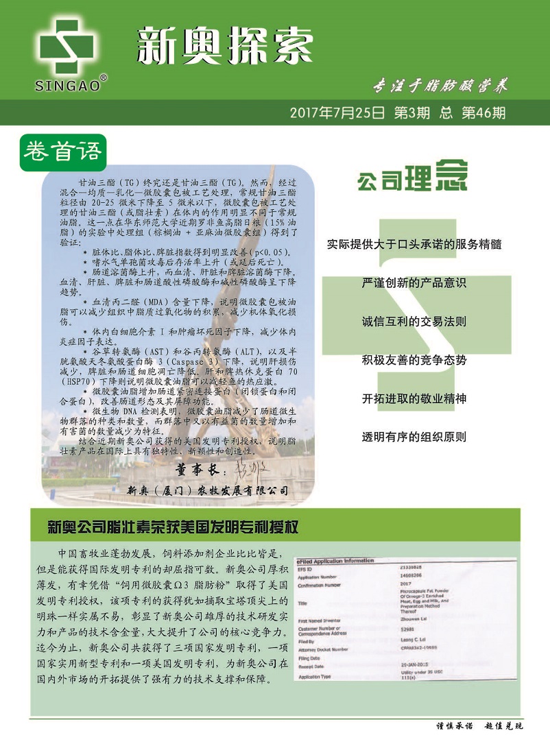 揭秘2024新奧精準(zhǔn)資料免費(fèi)大全第078期，深度解析與前瞻性探討，揭秘2024新奧精準(zhǔn)資料免費(fèi)大全第078期，深度解析與前瞻性探討報(bào)告全覽