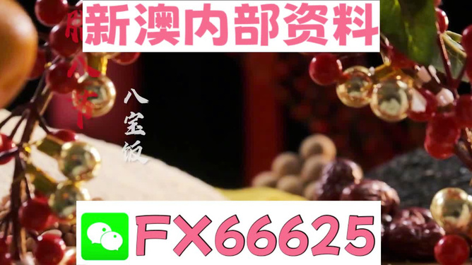 新澳2024正版免費資料，探索與啟示，新澳2024正版免費資料，探索之旅與啟示之門