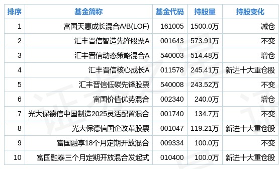 廣信股份股票適合長期持有嗎？深度解析與前景展望，廣信股份股票長期持有價值深度解析與前景展望