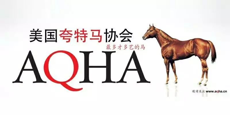 揭秘2024特馬最新開獎(jiǎng)結(jié)果——探尋幸運(yùn)之門背后的秘密，揭秘2024特馬最新開獎(jiǎng)結(jié)果，幸運(yùn)之門背后的真相大揭秘