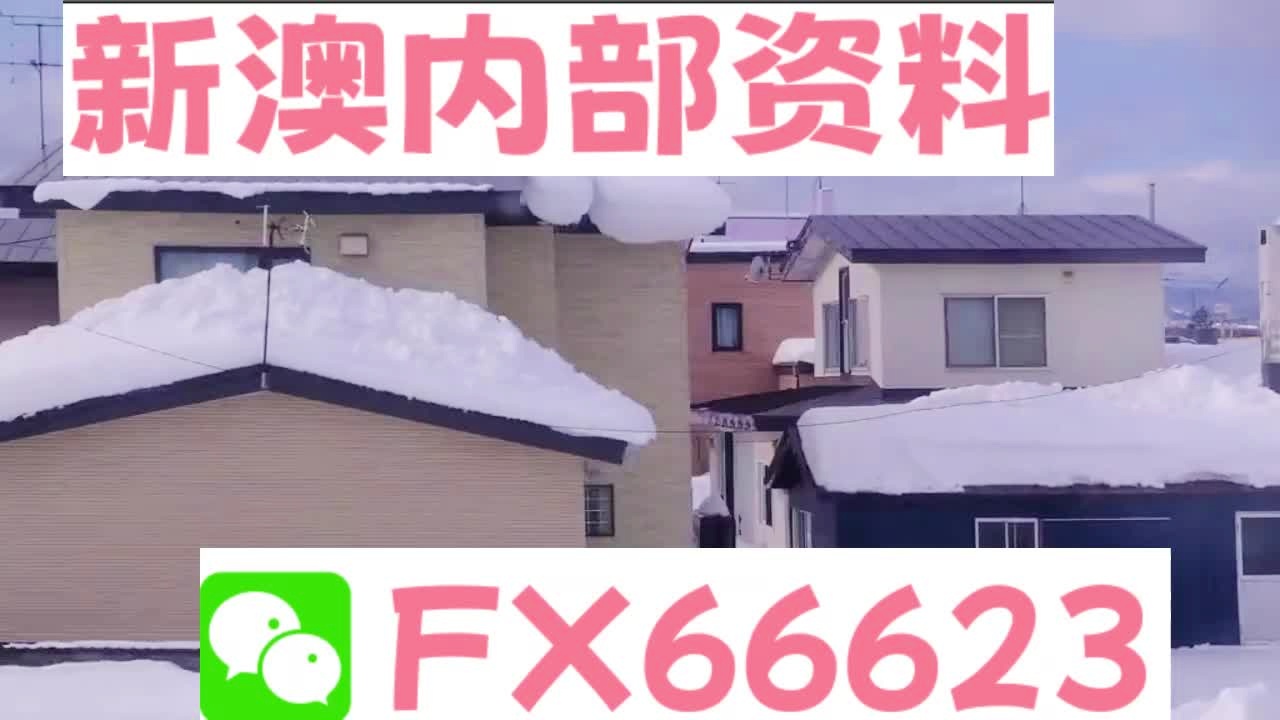新奧天天精準(zhǔn)資料大全，深度解析與實(shí)際應(yīng)用，新奧天天精準(zhǔn)資料大全，深度解析及實(shí)際應(yīng)用指南