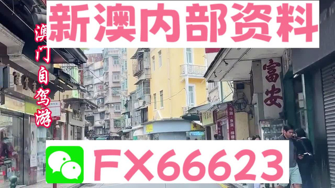 新澳精選資料免費(fèi)提供，助力學(xué)術(shù)研究與個人成長的無價(jià)資源，新澳精選資料助力學(xué)術(shù)研究與個人成長的無償資源分享