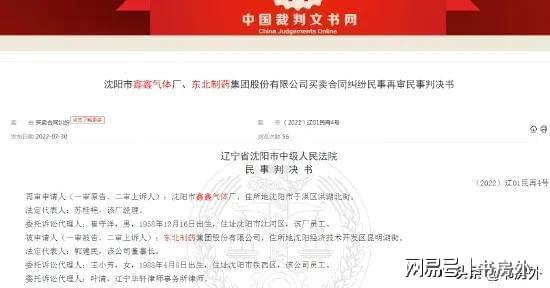 東北制藥，國(guó)企的身份與擔(dān)當(dāng)，東北制藥，國(guó)企身份下的責(zé)任與擔(dān)當(dāng)