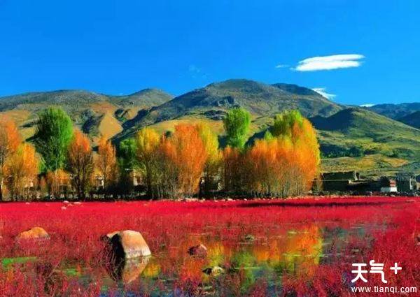 探尋神秘仙境，一月份去稻城亞丁合適嗎？，一月份探尋神秘仙境，稻城亞丁是否合適？