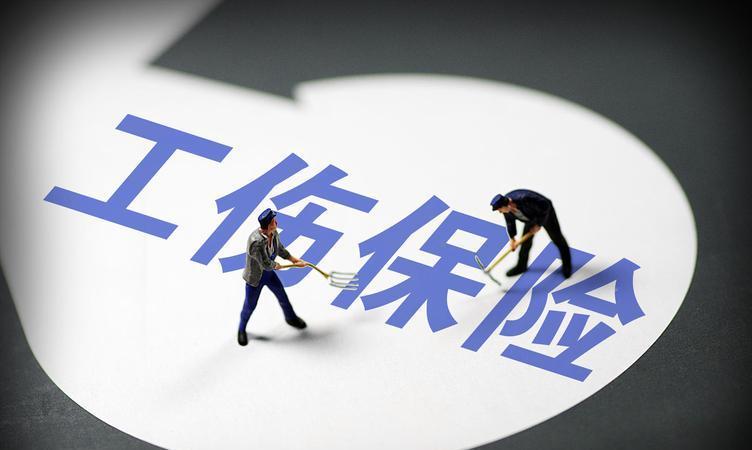 探索未知領(lǐng)域，2024全年資料免費大全，探索未知領(lǐng)域，2024全年資料免費大全總覽