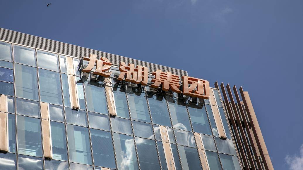 龍湖集團，國企還是私企？解析其企業(yè)性質(zhì)與背景，龍湖集團，企業(yè)性質(zhì)與背景解析——國企還是私企？