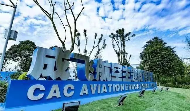 成飛集團(tuán)與成飛集成，潛在的整合與協(xié)同潛力分析，成飛集團(tuán)與成飛集成，潛在整合與協(xié)同潛力深度解析