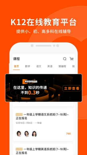 澳門平特一肖100準(zhǔn)，揭秘背后的犯罪問題，澳門平特一肖背后的犯罪問題揭秘