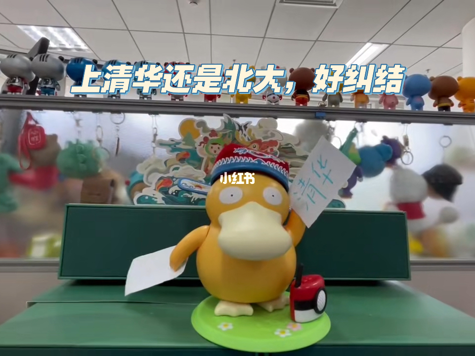 抓娃娃與清華北大的夢想，一段關(guān)于堅持與成長的故事，堅持與成長，抓娃娃背后的清華北大夢想之旅