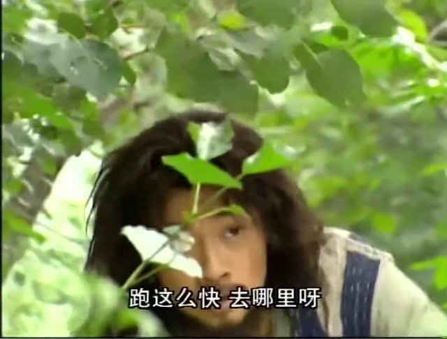 猴哥影院，在線電影觀看的新體驗，猴哥影院，在線電影觀看的全新體驗