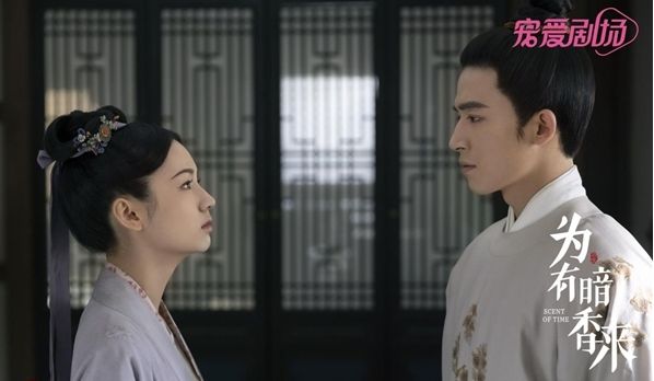 為有暗香來(lái)電視劇免費(fèi)觀看——深度解析與觀劇體驗(yàn)，為有暗香來(lái)電視劇免費(fèi)觀看，全面深度解析與感人觀劇體驗(yàn)