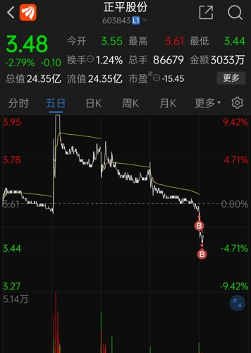 探索正平股份股吧，603843的魅力與價(jià)值，正平股份股吧深度探索，揭秘603843的魅力與價(jià)值