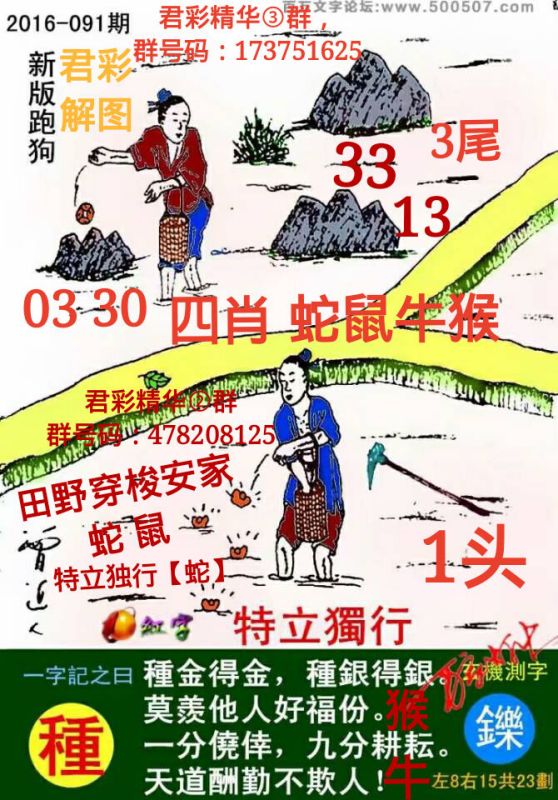 探索精準(zhǔn)跑狗圖，數(shù)字組合77777與88888的魅力，精準(zhǔn)跑狗圖揭秘，數(shù)字組合77777與88888的魅力探索