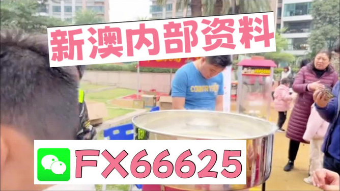 澳門(mén)正版免費(fèi)全年資料大全與精彩旅游團(tuán)體驗(yàn)，澳門(mén)正版全年資料大全與精彩旅游團(tuán)體驗(yàn)之旅