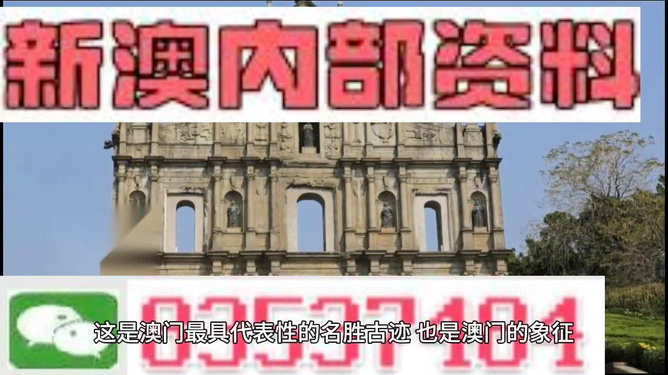 澳門天天免費(fèi)精準(zhǔn)大全——揭示違法犯罪問題，澳門違法犯罪問題揭秘，天天免費(fèi)精準(zhǔn)大全曝光