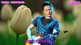 歌曲大全，老歌連續(xù)播放的百首經(jīng)典之選，百首經(jīng)典老歌連播，懷舊歌曲大全