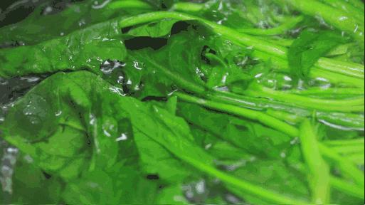 對(duì)腎最好的五種蔬菜，對(duì)腎最好的五種蔬菜介紹