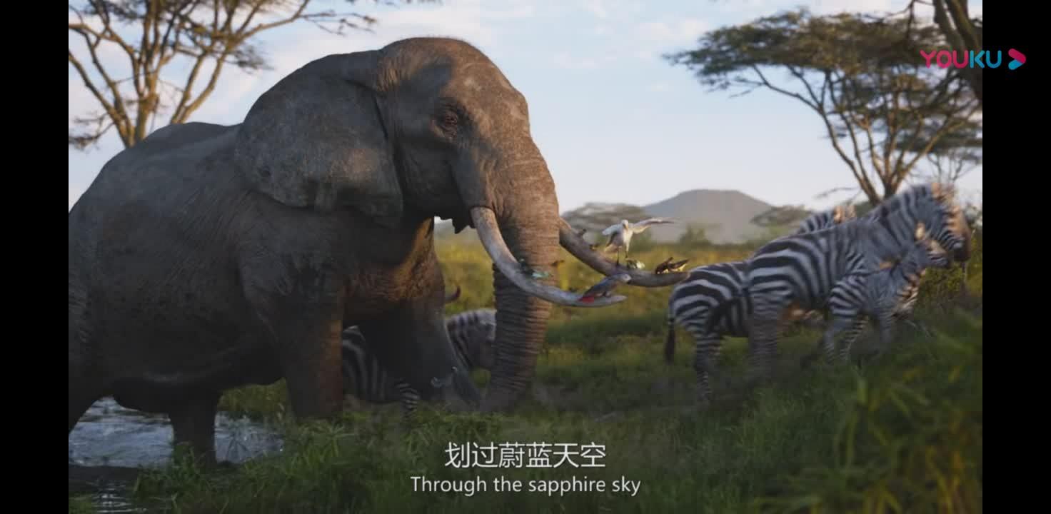 霧里看花 第14頁