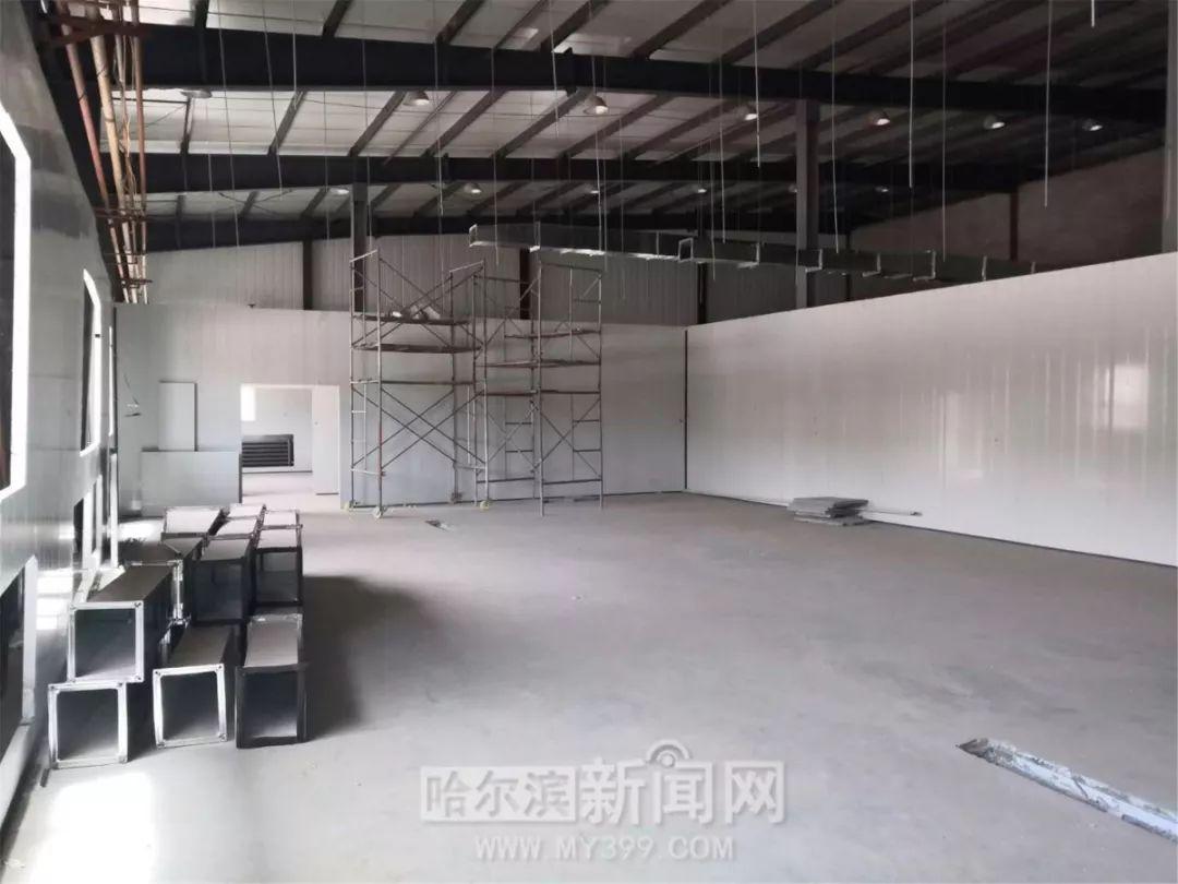 外國游客被爾濱硬控了，深度體驗與獨特視角，外國游客在哈爾濱的獨特體驗與觀察，深度探索與獨特視角