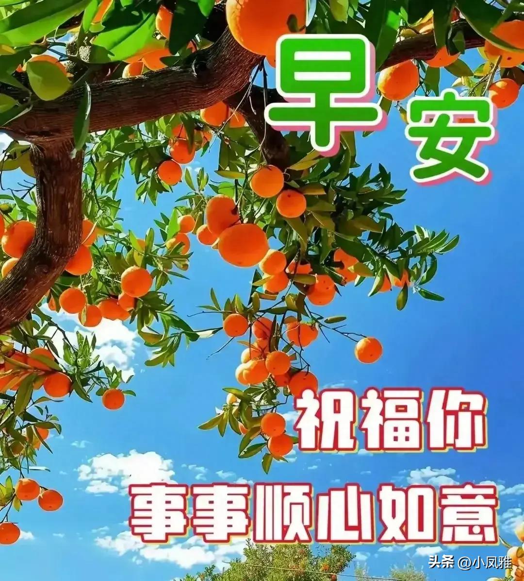 2024天天彩正版資料大全——探索彩票世界的指南，彩票世界探索指南，2024天天彩正版資料大全
