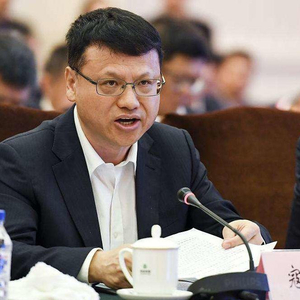 大唐集團原總經(jīng)理寇偉被查爆，探究事件背后的真相，大唐集團原總經(jīng)理寇偉被查背后真相揭秘