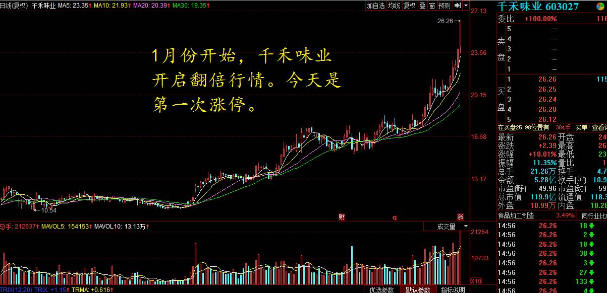 創(chuàng)歷史新高的股票，探尋市場(chǎng)新星，探尋創(chuàng)歷史新高的市場(chǎng)新星股票