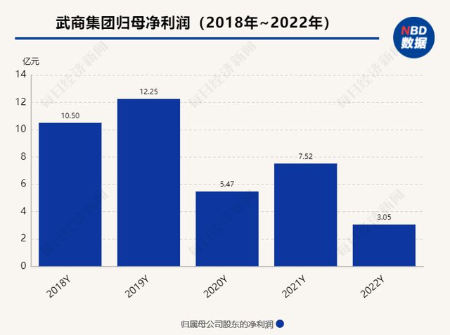 武商集團(tuán)，正確估值的深度解析，武商集團(tuán)深度解析，探尋合理估值之道